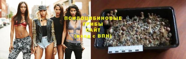 каннабис Абинск