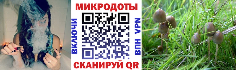 Псилоцибиновые грибы MAGIC MUSHROOMS  Райчихинск 